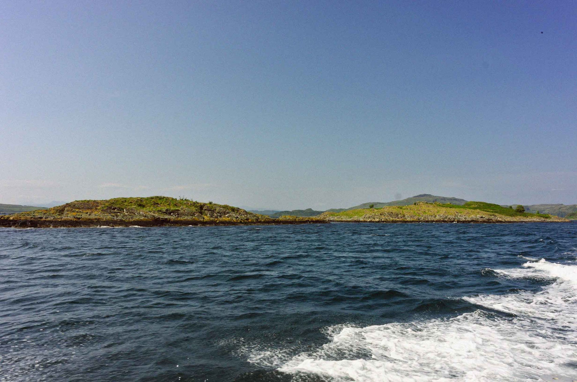 Acquacoltura Sostenibile: Il Futuro della Pesca