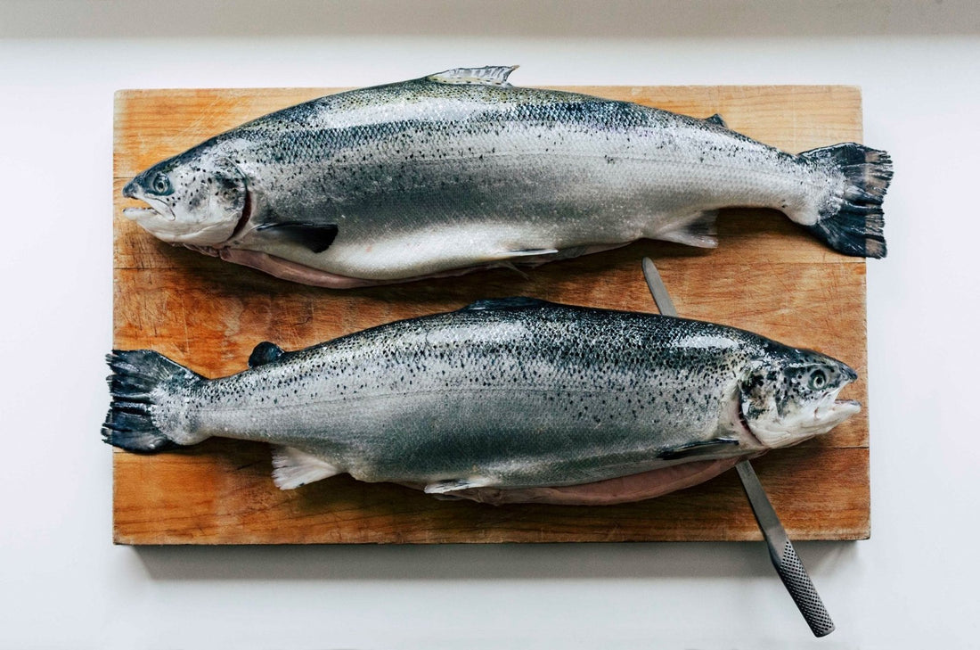 Salmone affumicato a crudo: È sicuro mangiarlo? - Smokin' Brothers Salmone Affumicato